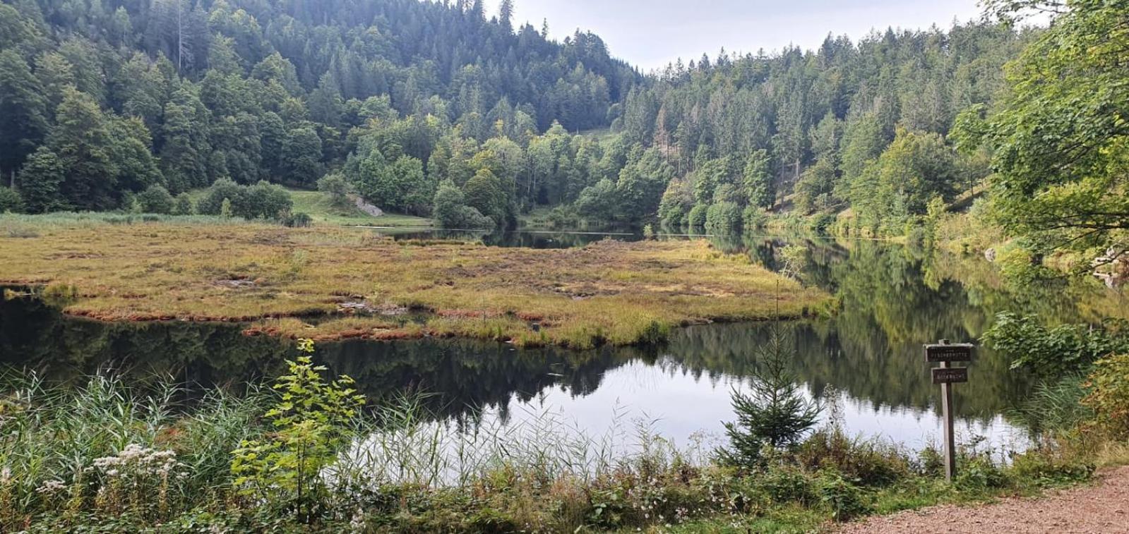 Nani Kleines Wiesental