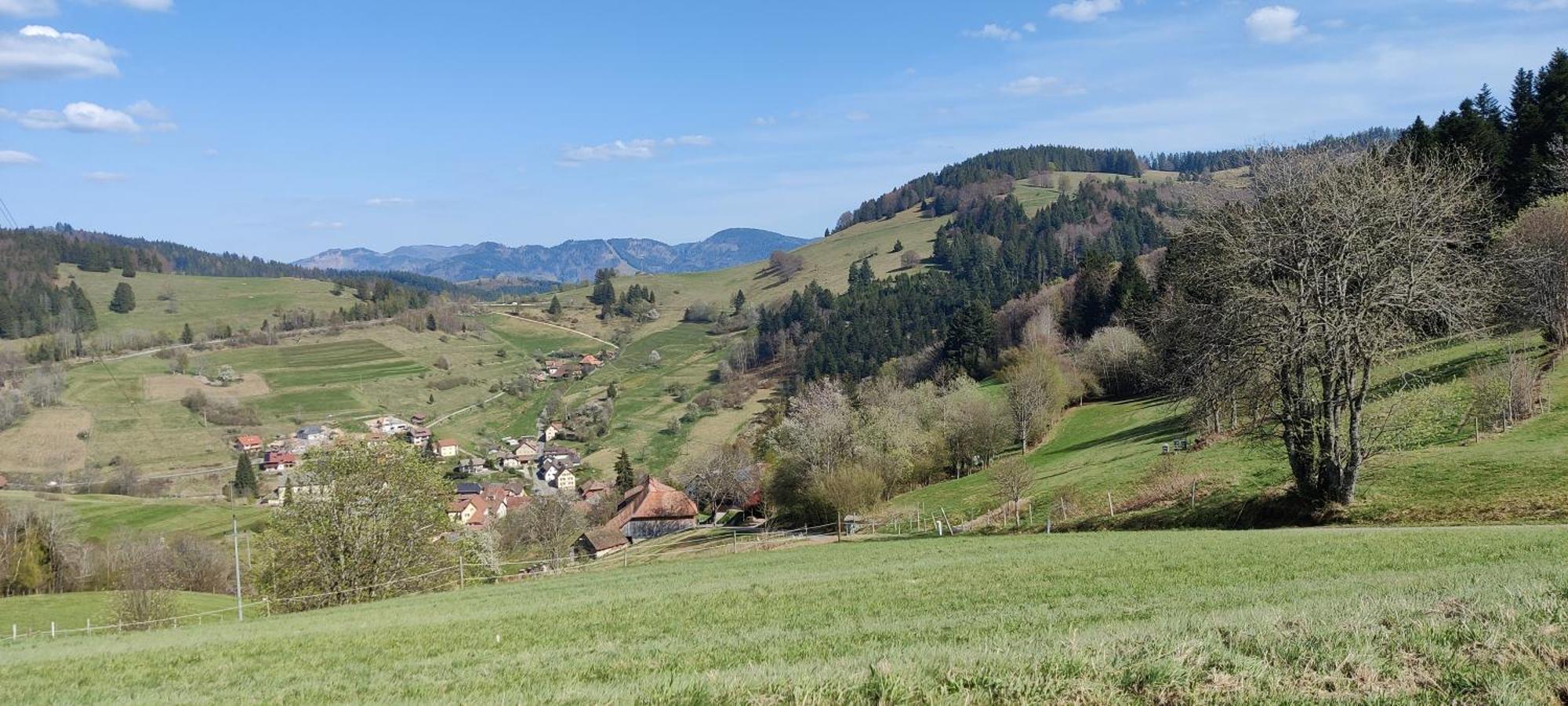 Nani Kleines Wiesental